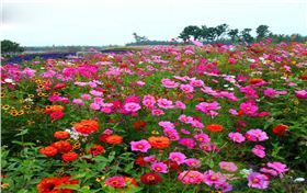 广东丹霞山风景区工程案例