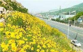 河源市市政道景观工程案例