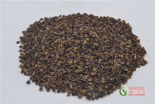 金鸡菊花卉种子