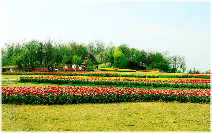 广州公园绿化案例